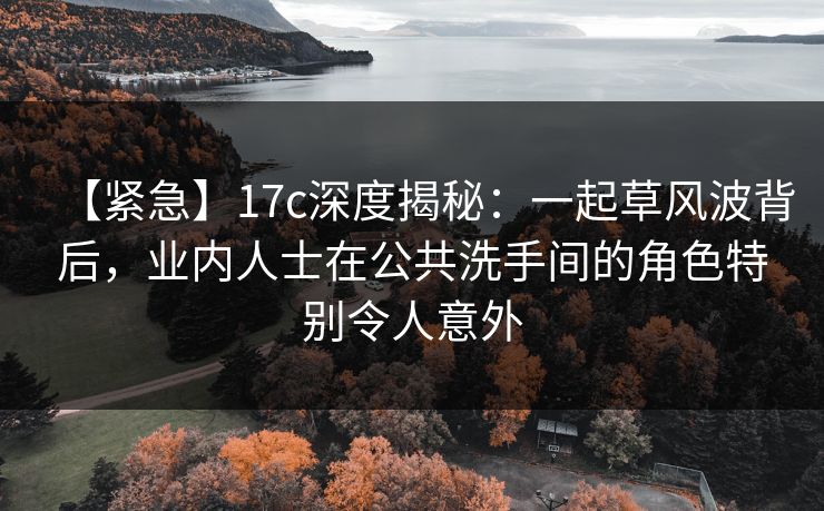 【紧急】17c深度揭秘：一起草风波背后，业内人士在公共洗手间的角色特别令人意外