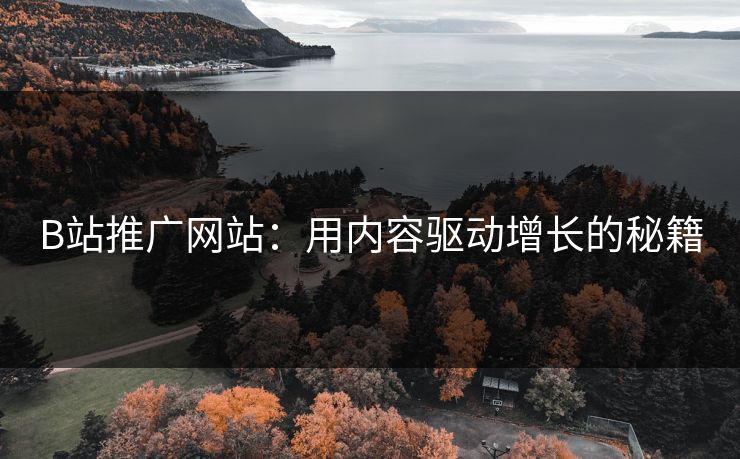 B站推广网站：用内容驱动增长的秘籍