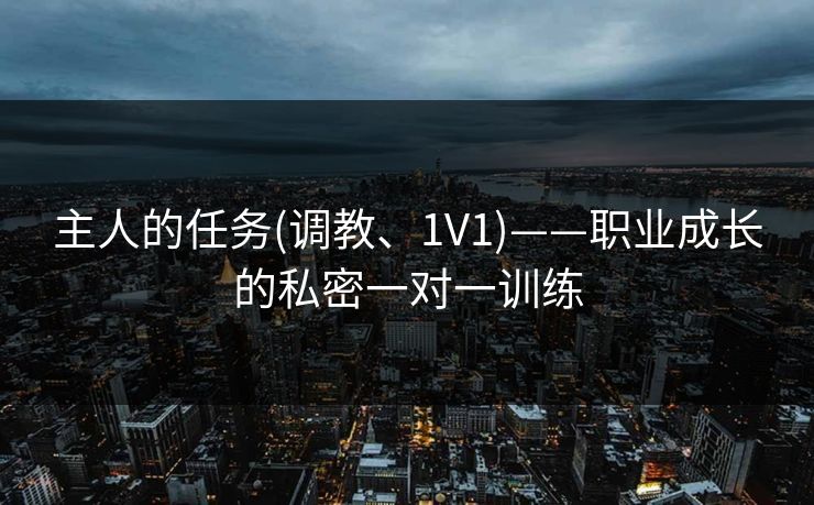 主人的任务(调教、1V1)——职业成长的私密一对一训练