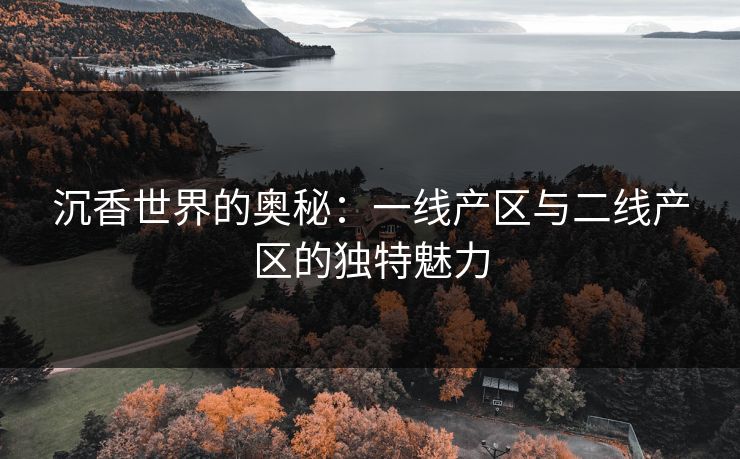 沉香世界的奥秘：一线产区与二线产区的独特魅力